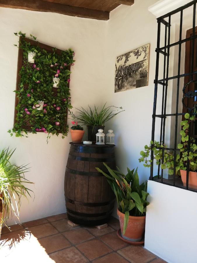 Casa Rural La Maquinilla Grazalema Eksteriør bilde