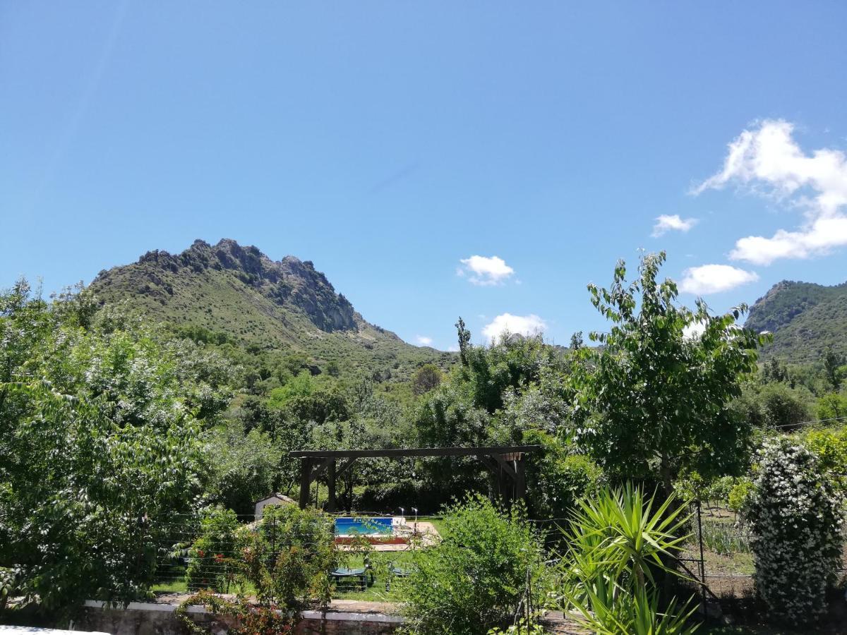 Casa Rural La Maquinilla Grazalema Eksteriør bilde
