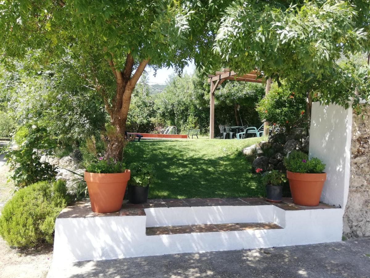 Casa Rural La Maquinilla Grazalema Eksteriør bilde