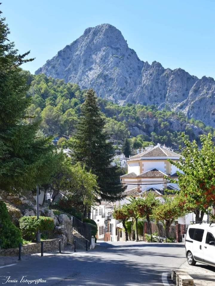 Casa Rural La Maquinilla Grazalema Eksteriør bilde