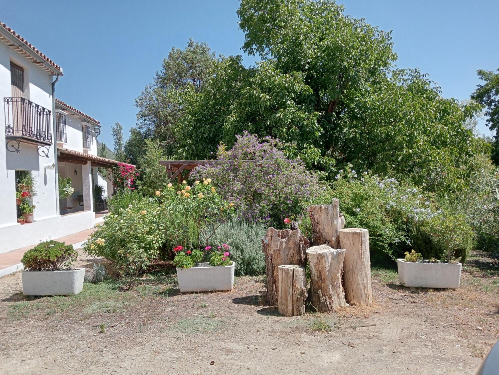 Casa Rural La Maquinilla Grazalema Eksteriør bilde