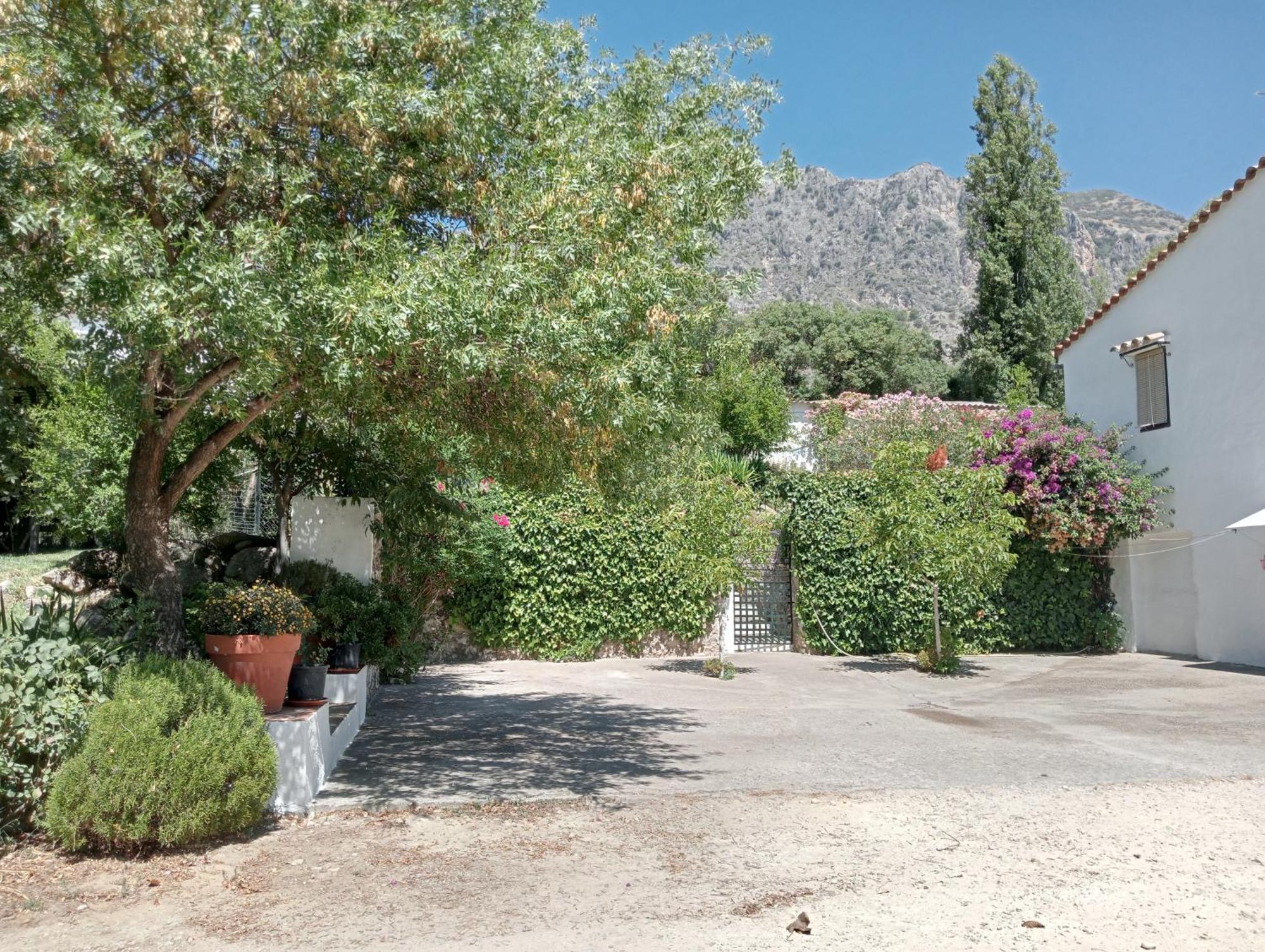 Casa Rural La Maquinilla Grazalema Eksteriør bilde