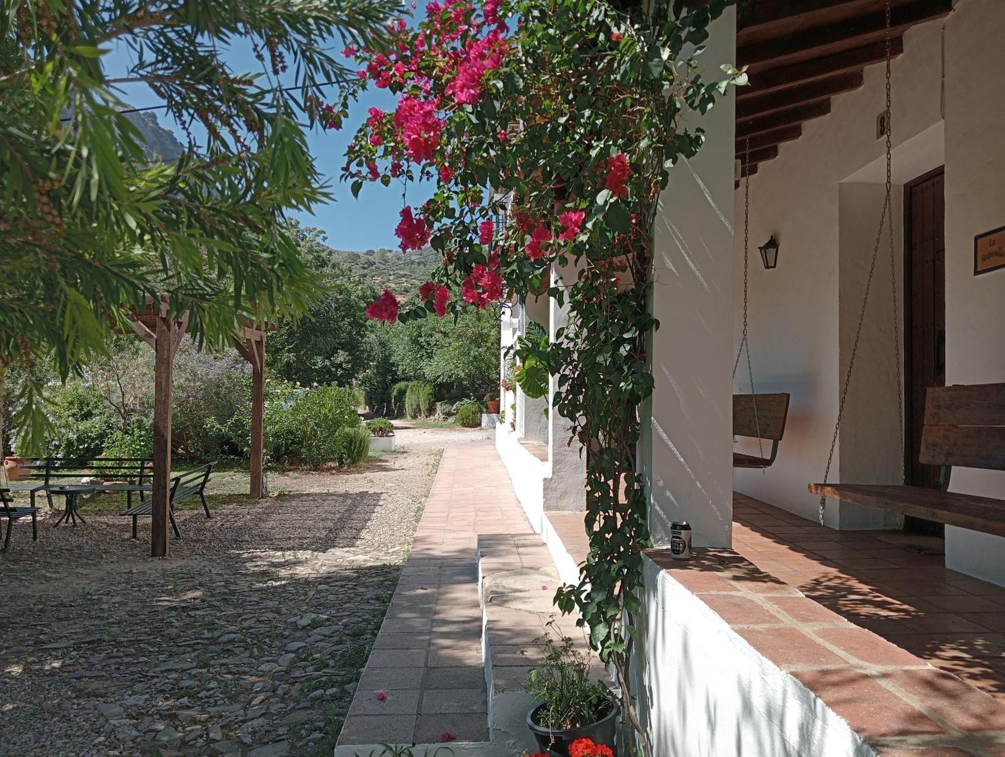 Casa Rural La Maquinilla Grazalema Eksteriør bilde