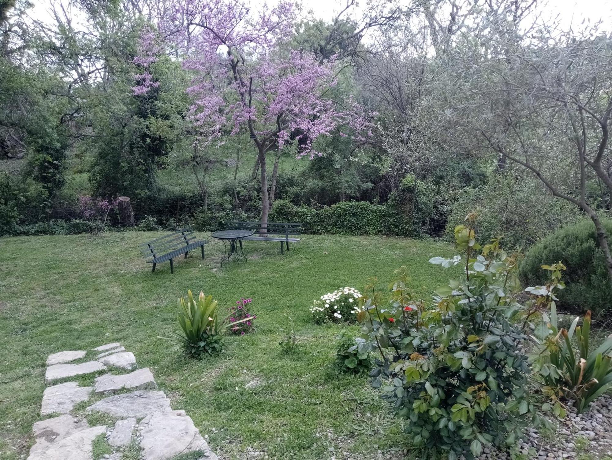 Casa Rural La Maquinilla Grazalema Eksteriør bilde