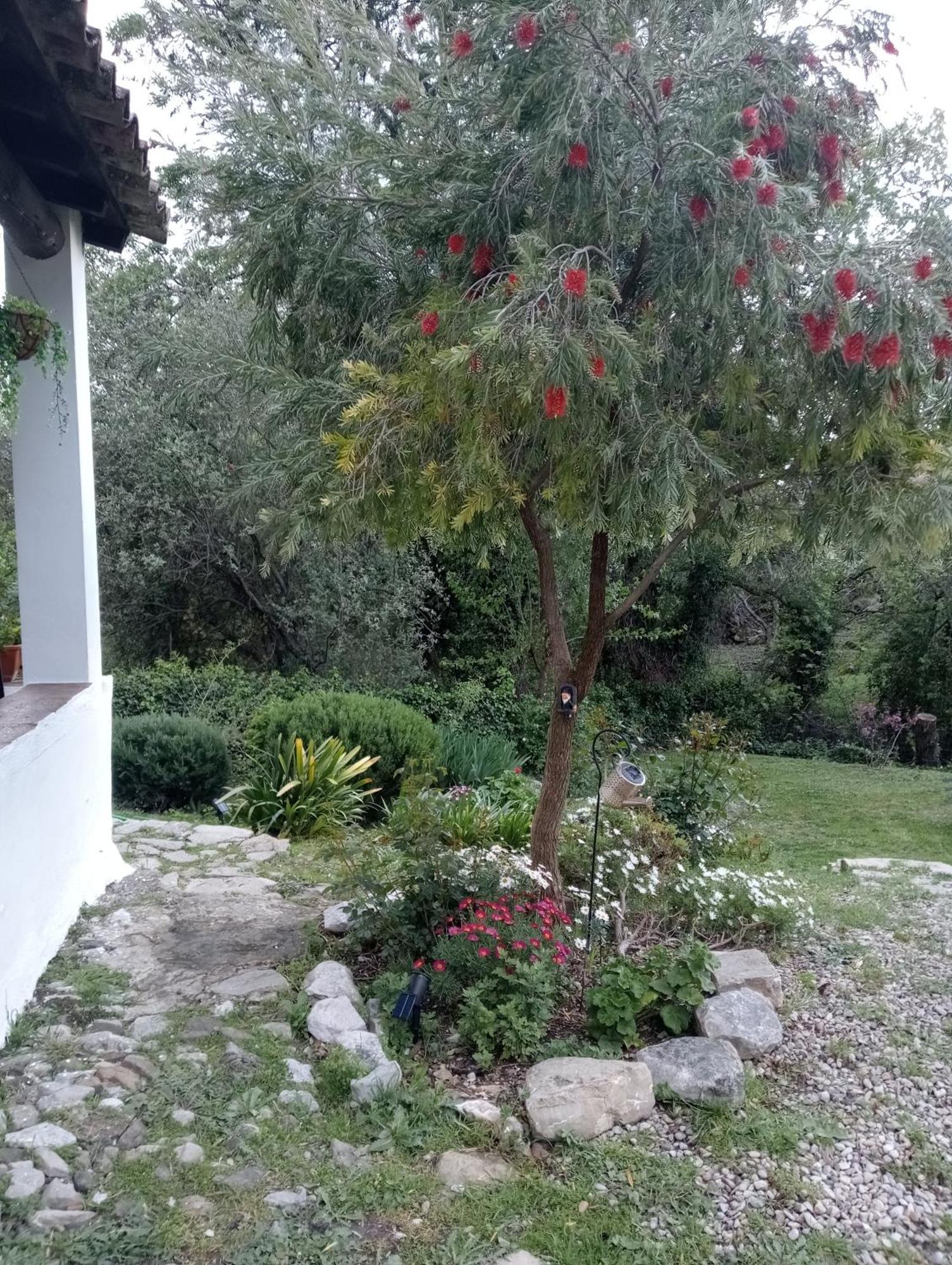Casa Rural La Maquinilla Grazalema Eksteriør bilde