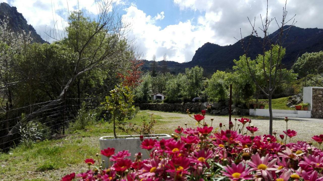 Casa Rural La Maquinilla Grazalema Eksteriør bilde