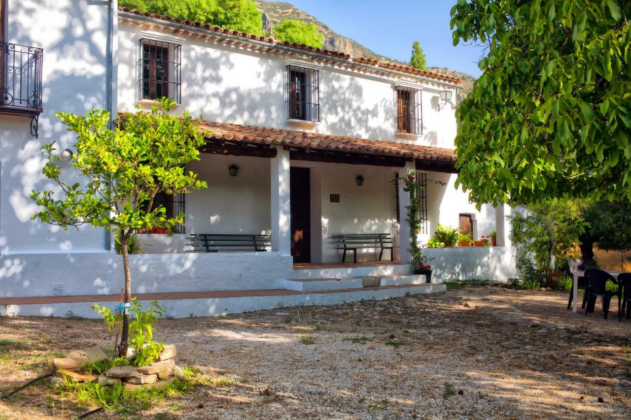 Casa Rural La Maquinilla Grazalema Eksteriør bilde
