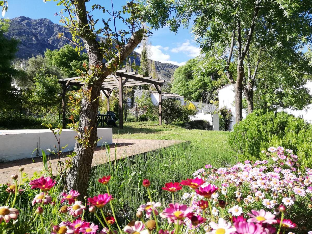Casa Rural La Maquinilla Grazalema Eksteriør bilde